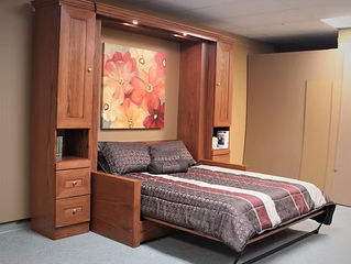couch Murphy bed