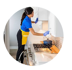 CLEANING WEBSITE.png