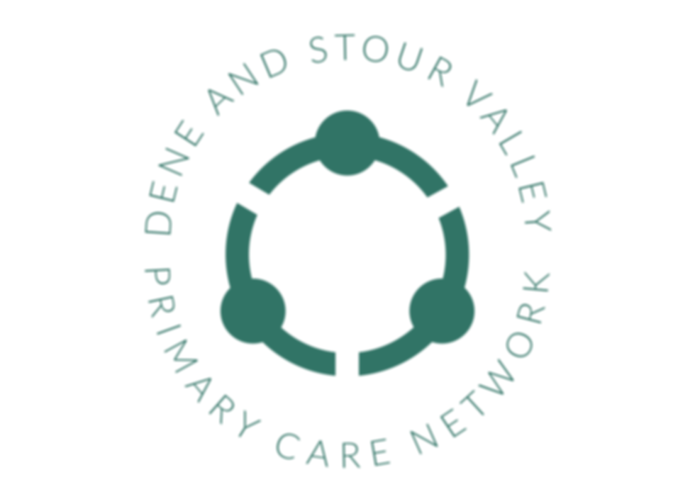 Final DSV Logo.png