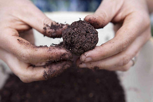 seed-bomb-ball-gardenista.jpeg