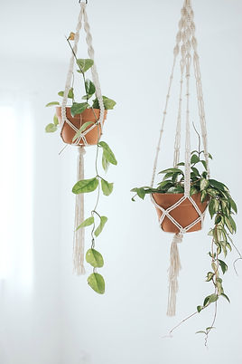 Macrame planthanger.jpeg