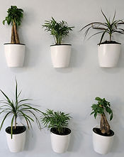 83BD1E87-F28B-4C73-9449-5700881AA3FD_edi