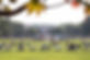 090823_9.8.first_.look_.fair_NS-13.jpg