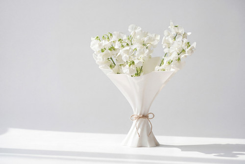 TABANE flower vase | +0.2（プラスレイテンニ）