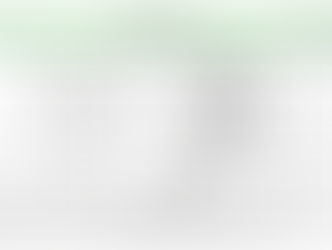 2018 THE KOREAN HONOR SCHOLARSHIP GUIDELINES