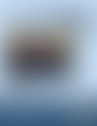 University of Toronto – Education Graduate Programs Online Info Session