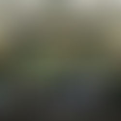 “한국은 나에게 ○○입니다”캐나다 고교생 150명, 한국을 말하다