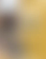 Study in Korea Live – February Online Seminar (Webinar)