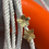 Thumbnail: Flower Earrings 