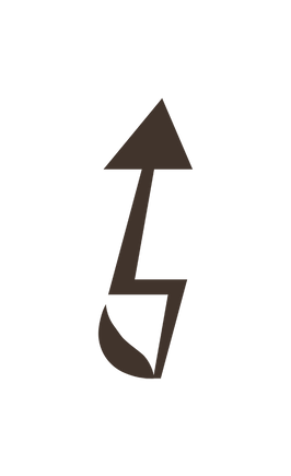 DN_Logomark_B&W copy.png