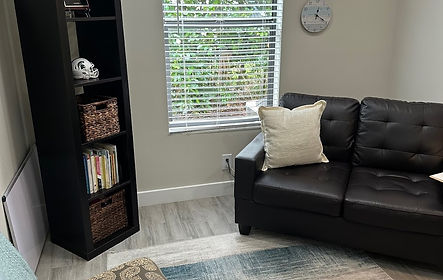 Palm Tree Psychiatry office interior with seating and bookshelf