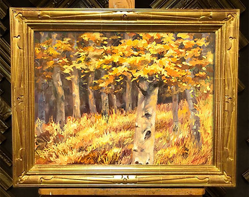 Aspen in frame copy.jpg