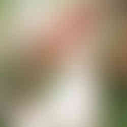 Smiling bride and groom embracing under a floral arch at outdoor wedding.