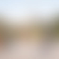 Desert Daydreams: Curiosity Refresh’s 2025 WPPI Wedding Photography Shootout Blooms in the Las Vegas Desert