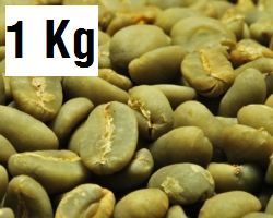 印尼蘇拉威西托拉查G1 - Indonesia Sulawesi Toraja G1