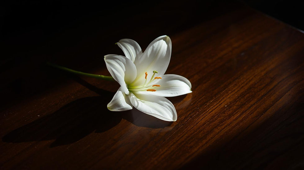 A lily (Ai Generated)