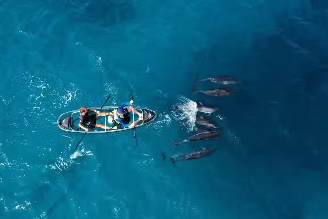 Tour de Caiaque Transparente em Fernando de Noronha