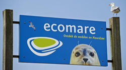 Ecomare