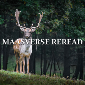 Join Our Maasverse Reread