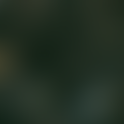 Welcome to Fae Club!