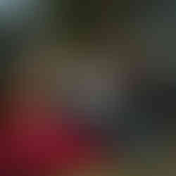 Lions Solstice Fantasy Event Uk by Fae Club