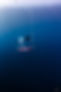 Baja Freediving Deep Camp fun dives