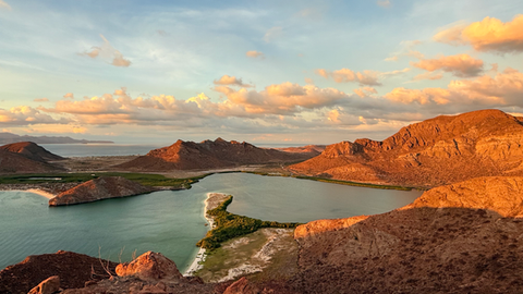 Balandra La Paz Mexico