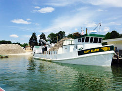 IMG_1306 (1)