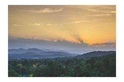 IMG_3483