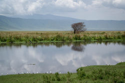 Web_Safari_2-48