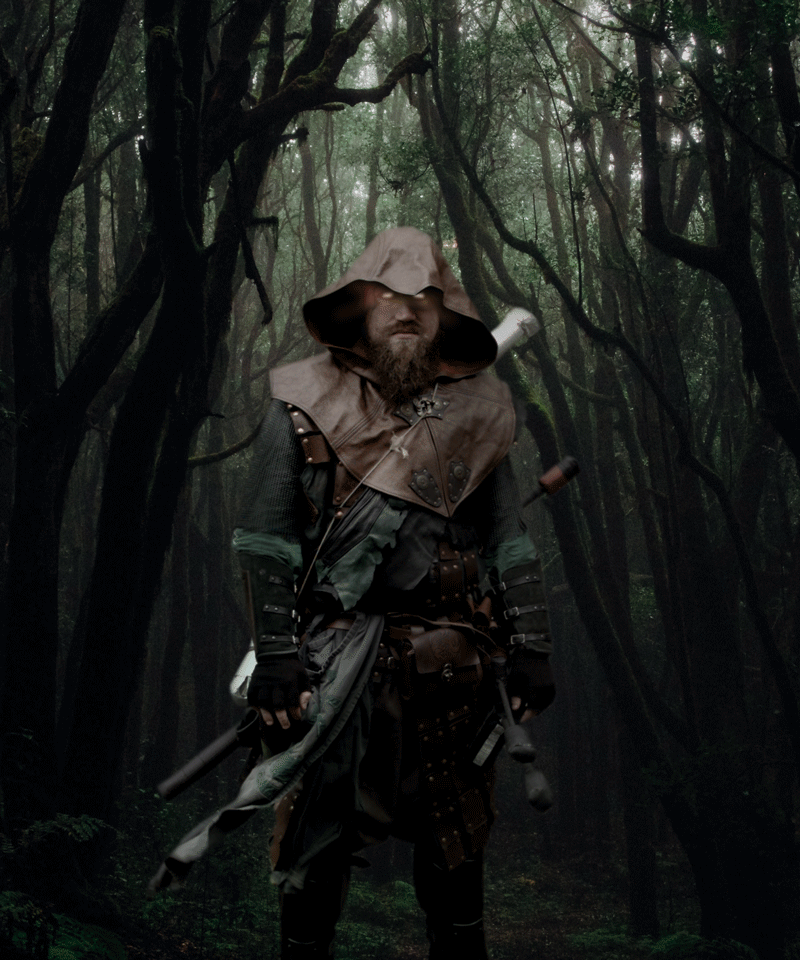 Ranger_Final_2.gif