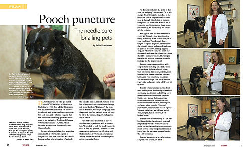 Wilma magazine page design