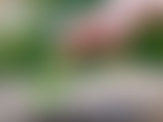 Saving for a Down Payment? Here’s What You Should Know.