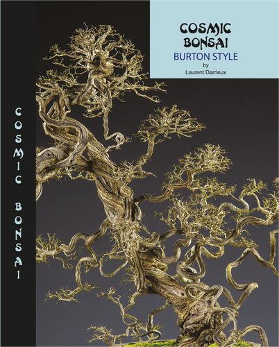 Bonsaï Cosmique | Cosmicbonsai