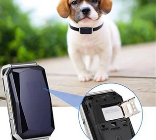 dog coleira gps.png