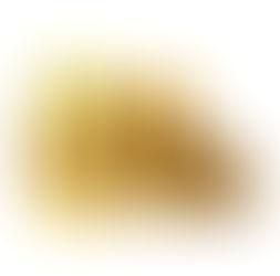 Customer Service Expectations - Part 1