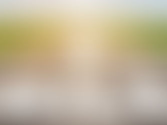 Going the Extra Mile