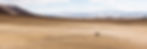 mark_cator_20170921_mongolia_0129.jpg
