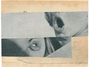 Katrien De Blauwer