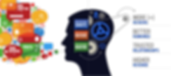 Online-Reputation-Management (1).png
