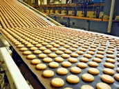 Processing Industry