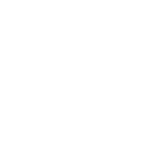 Zyppd.in.png