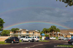 FB_IMG_1517193517609-01