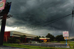 FB_IMG_1517193386276-01