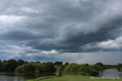 FB_IMG_1517193431890-01