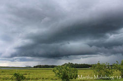 FB_IMG_1517192337833-01