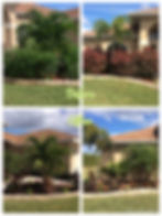 10733864_535174766619207_3511127262508366579_o.jpg
