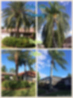 1502838_535174526619231_5825589366406075257_o.jpg