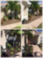 10636780_535174593285891_2832709076450141637_o.jpg