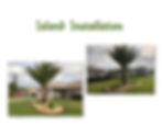 Island Installation Collage.jpg